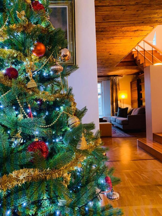 Tallinn City Apartments Luxury 4 Bedroom With Terrace And Sauna ภายนอก รูปภาพ